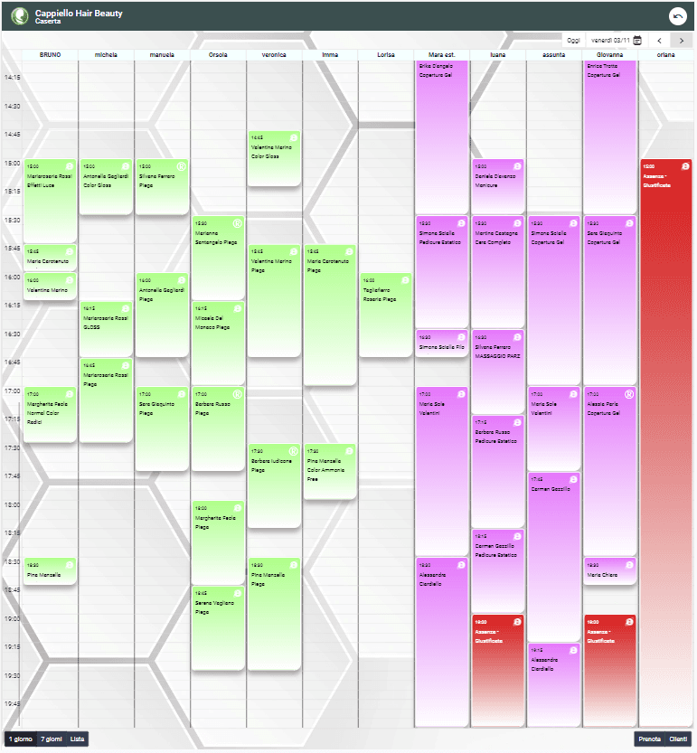 Planner giornaliero di mySaloon con agenda distribuita per operatore e appuntamenti del salone.